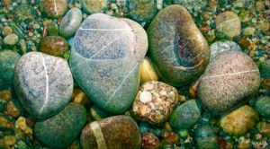 Composicion_Acuatica_V