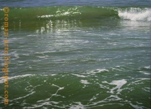 Roman Reflejo_en_las_olas_