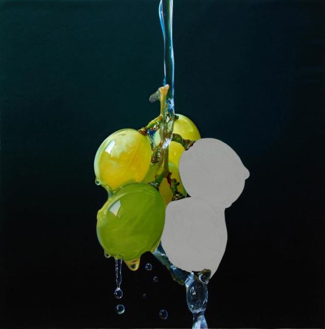 paso a paso francisco