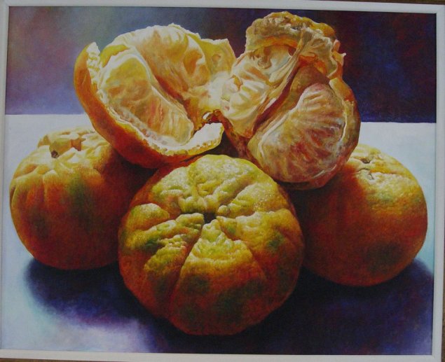 Javier Ramos Salazar11