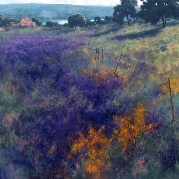 Primeras-luces fermin garcia