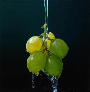 601962_586183934726710_800819710_n