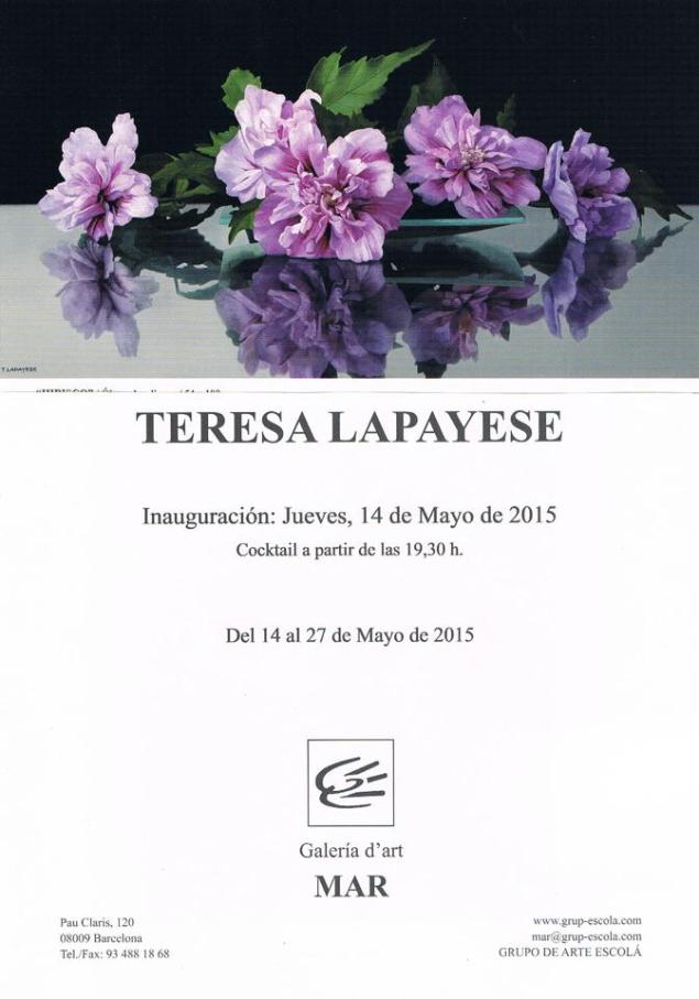 teresa lapayese en galeria d,art